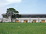 2.体育館兼講堂