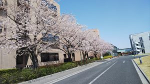 入学式